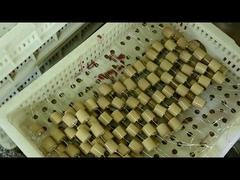 Condensatore ceramico ad alta tensione di 40.5kVAC-100pF 4000V per l'isolante capacitivo